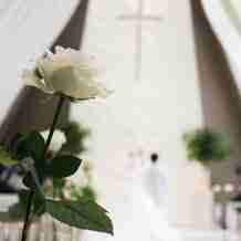 コロナ禍でも安心して開催できました By Aさん グランド ハイアット 福岡の口コミ