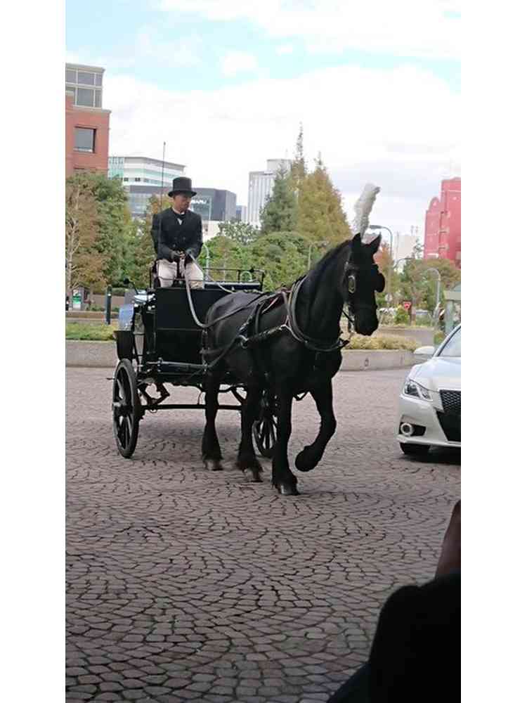 馬車に乗れてゲストの思い出に残る By はなはなはななさん ウェスティンホテル東京の口コミ