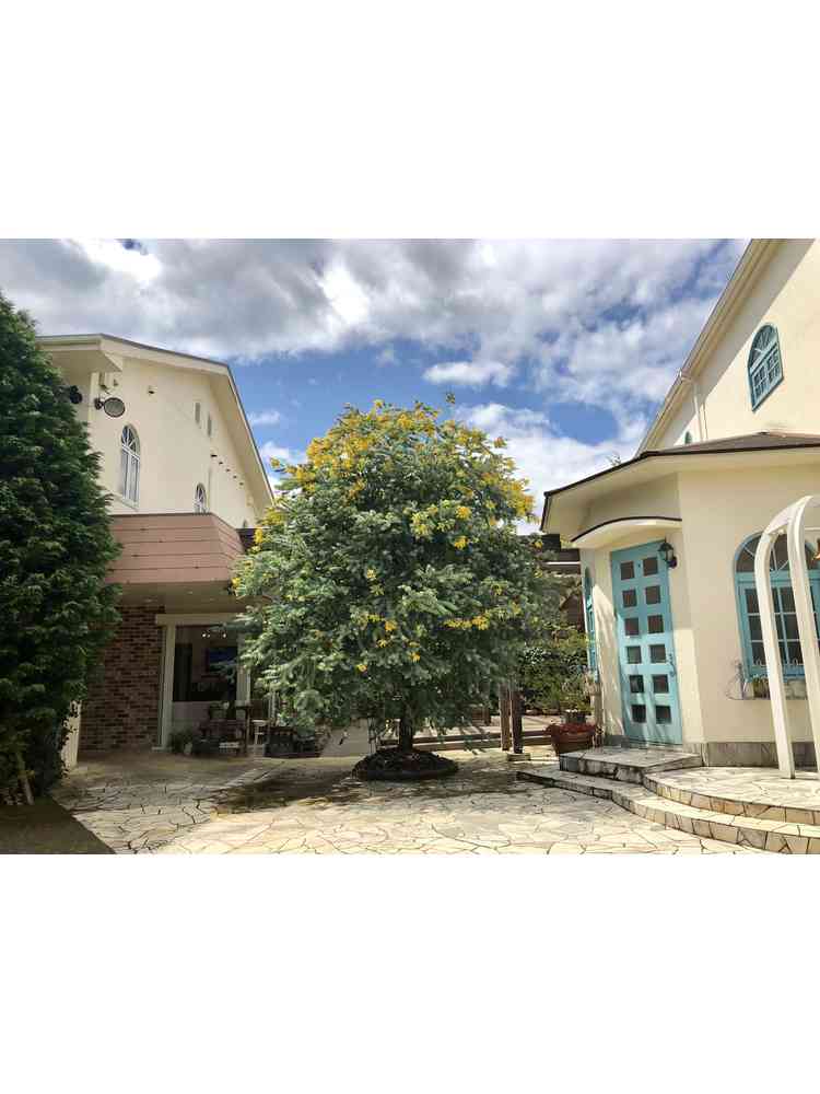 その他の写真 みんなの投稿写真 アールベルアンジェ チャペル嵯峨野で結婚式 みんなのウェディング