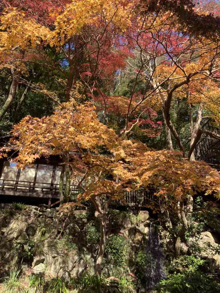 みんなの投稿写真 明治の森 箕面 音羽山荘 めいじのもり みのお おとわさんそう で結婚式 みんなのウェディング