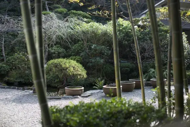 葉山 日影茶屋