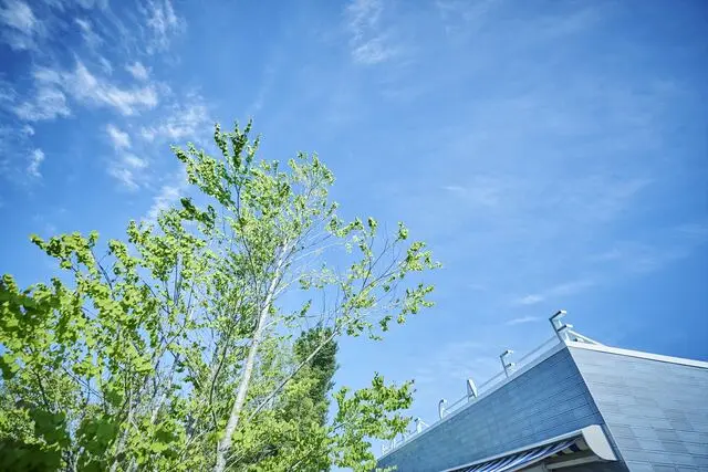 四季の丘 seasons with