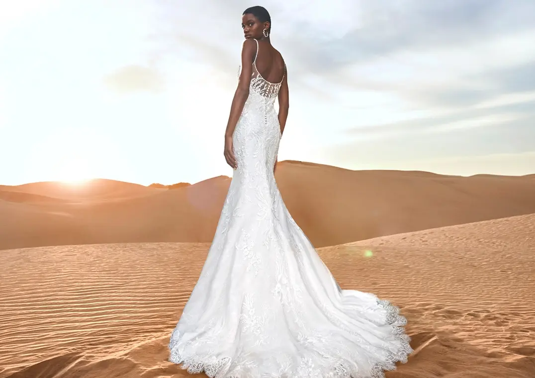 PRONOVIAS 2022 collection FINGLAS｜PRONOVIAS(プロノビアス)の