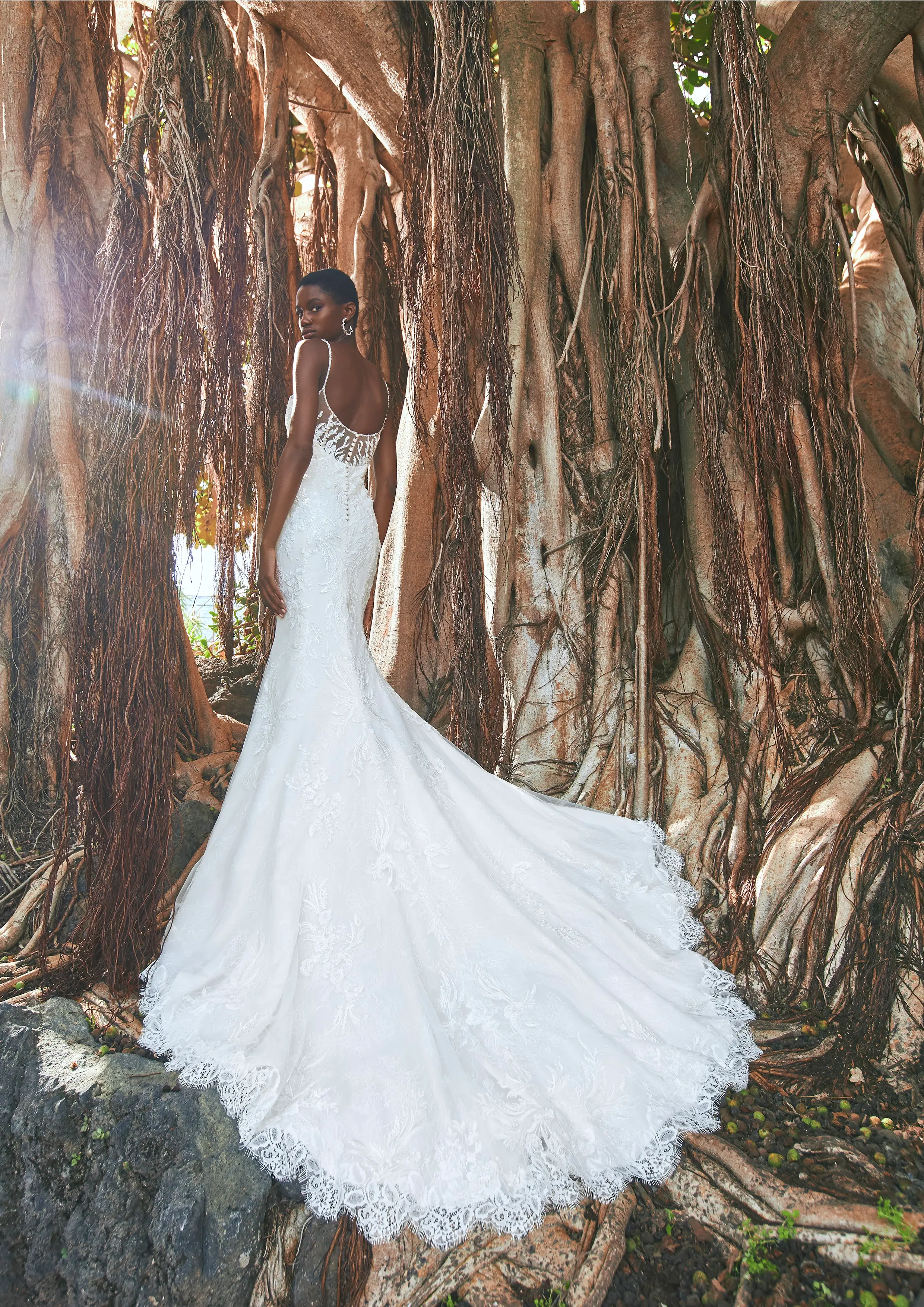PRONOVIAS 2022 collection FINGLAS｜PRONOVIAS(プロノビアス)の