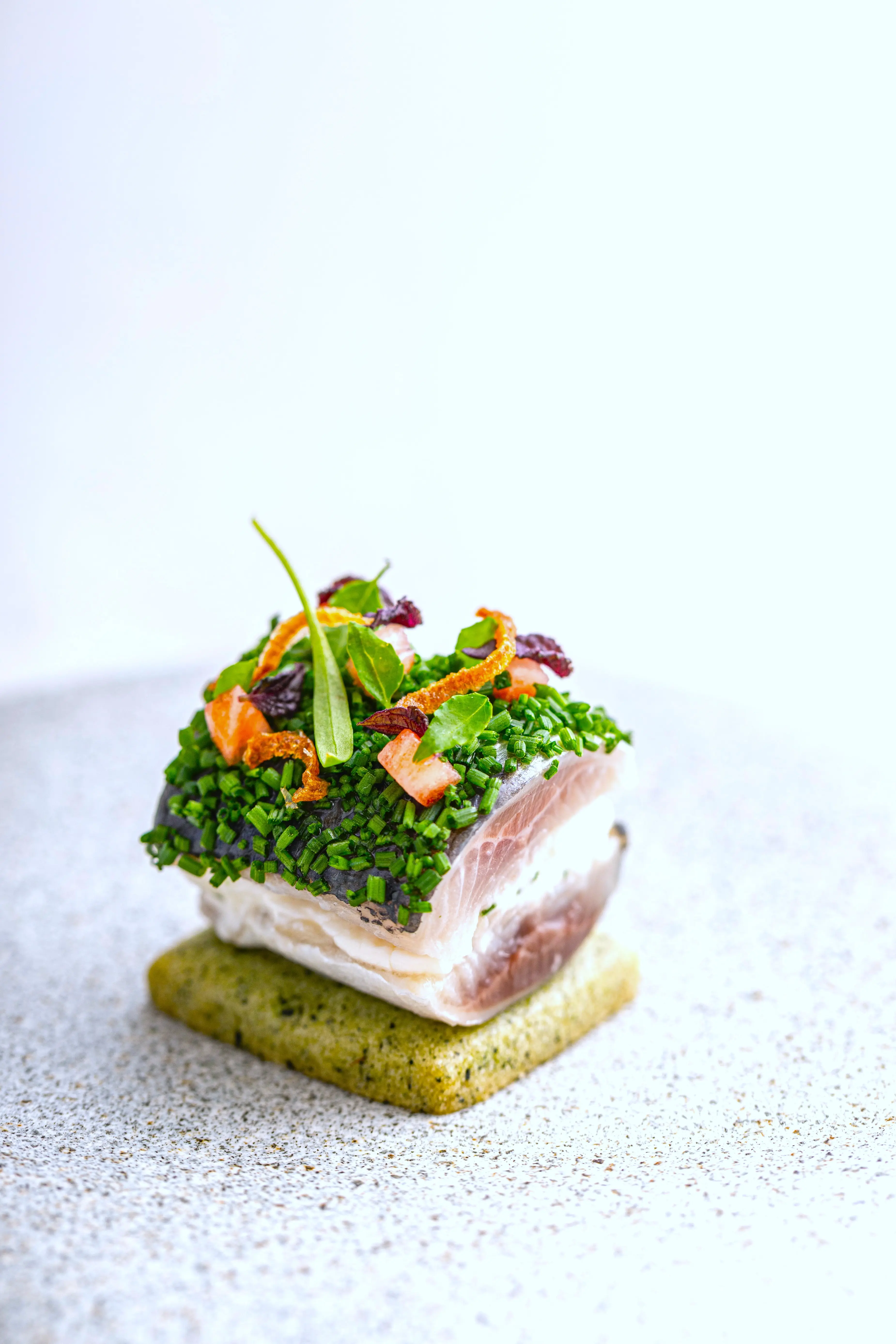 2026年春、みなとみらいにニューオープン！海と緑に囲まれた全席特等席のウエディング