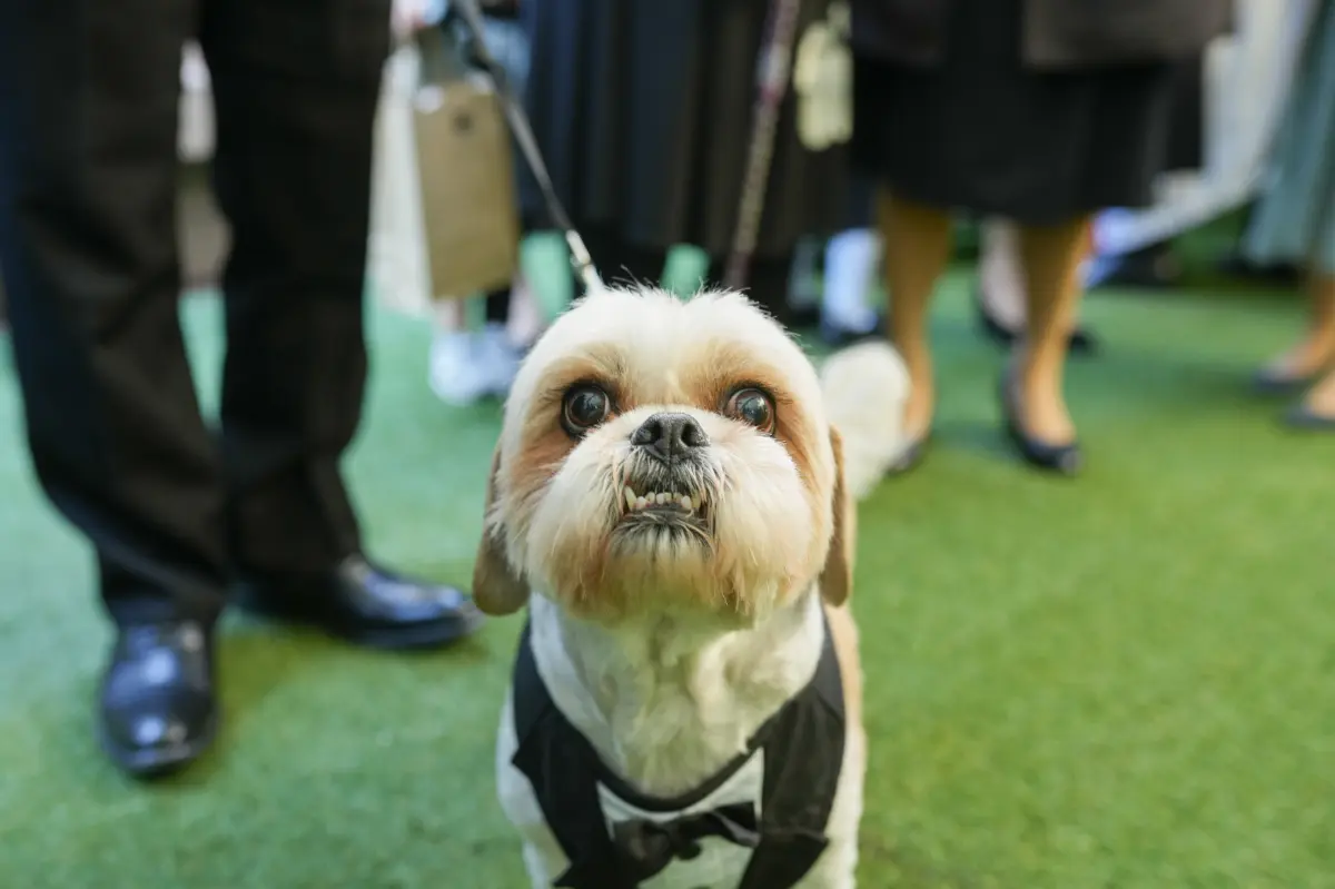 【先輩カップルレポート】大切な家族の愛犬と一緒に結婚式を♪型にハマらないオリジナル貸切ウェディング