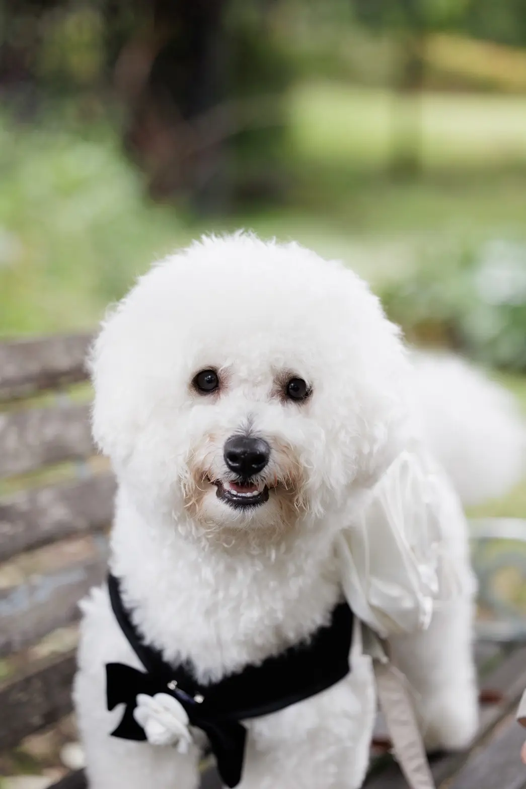 ＜最新トレンド＞イマドキ花嫁に選ばれる、旬の情報をご紹介♪