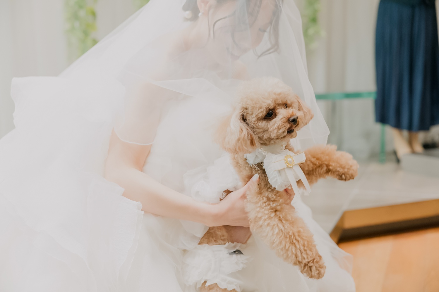 【二部制プラン150万円～】家族婚10名＆友人パーティー20名