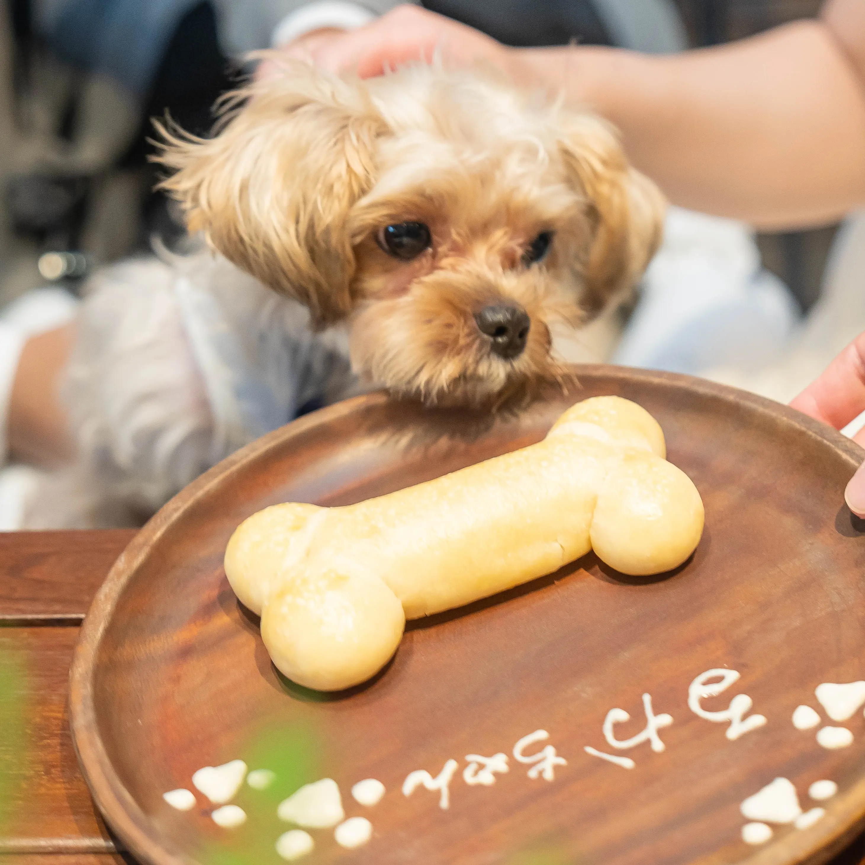 エスポワールではペットも大切な家族の一員として挙式からパーティーまで一緒に過ごす結婚式が叶います★