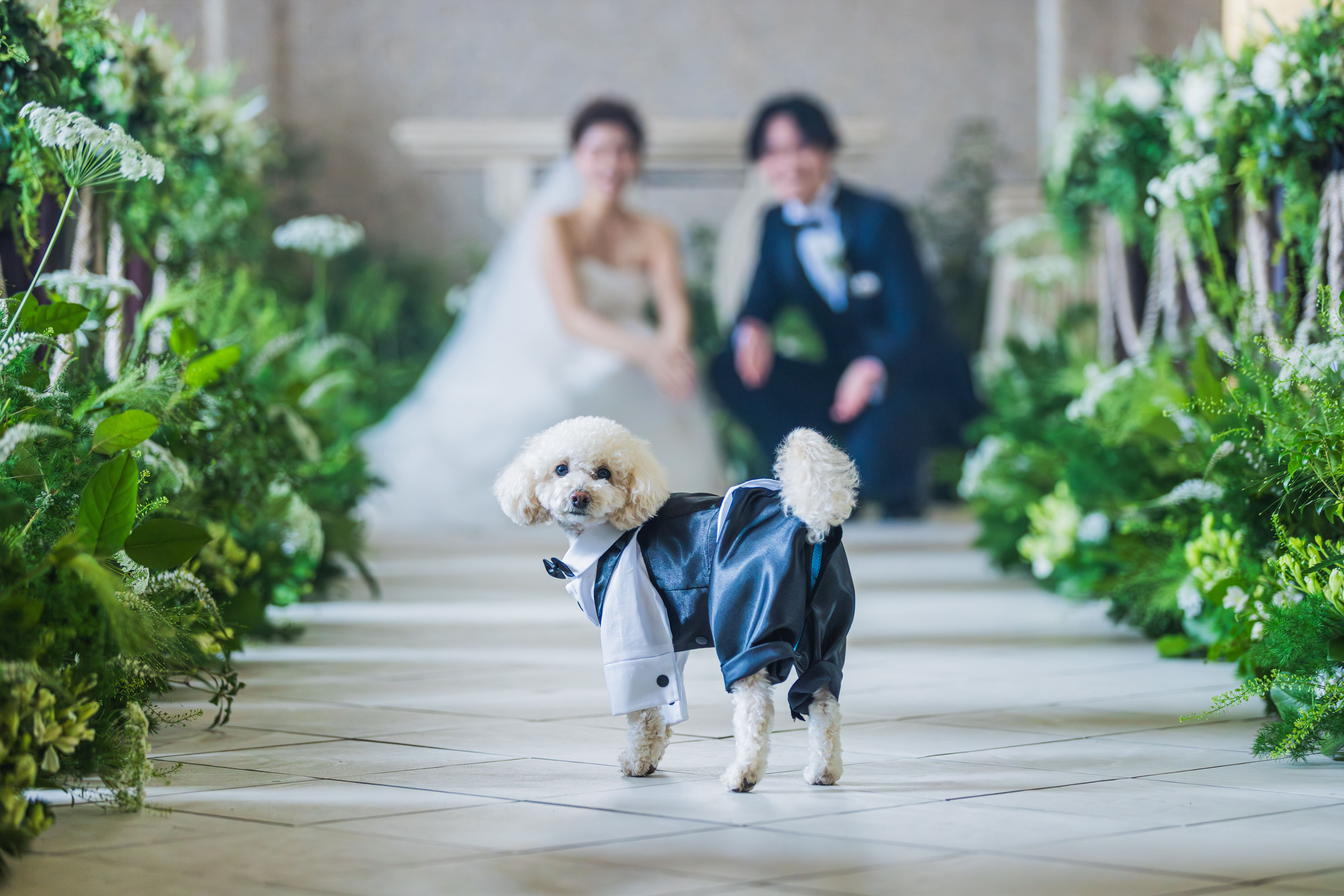 【年内・27年春婚も間に合う】初めての見学にも◎独立型チャペルで入場体験＆ファーストステップ相談会