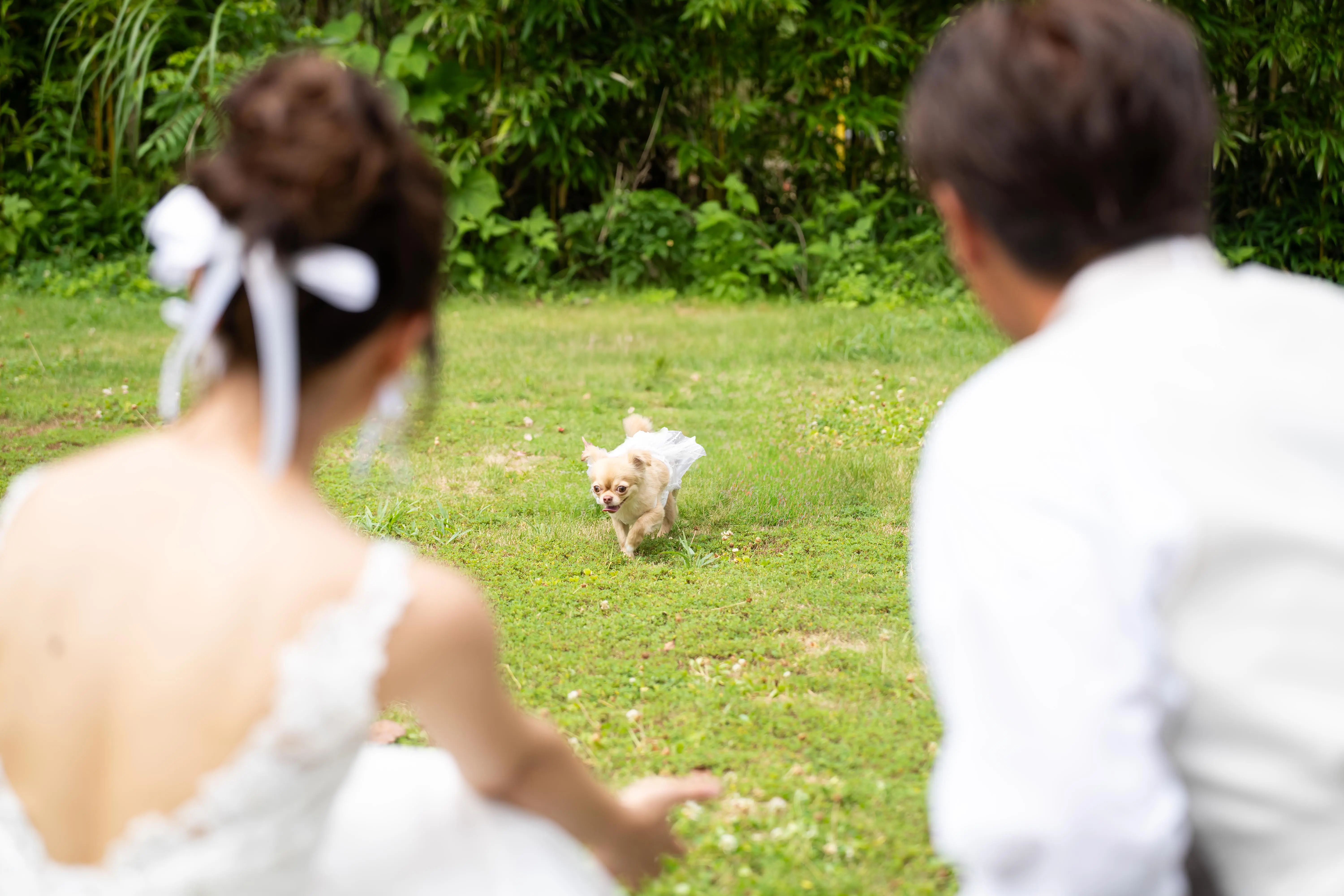 貸切だから叶うペット婚★*大切な家族と大事な時間をご用意