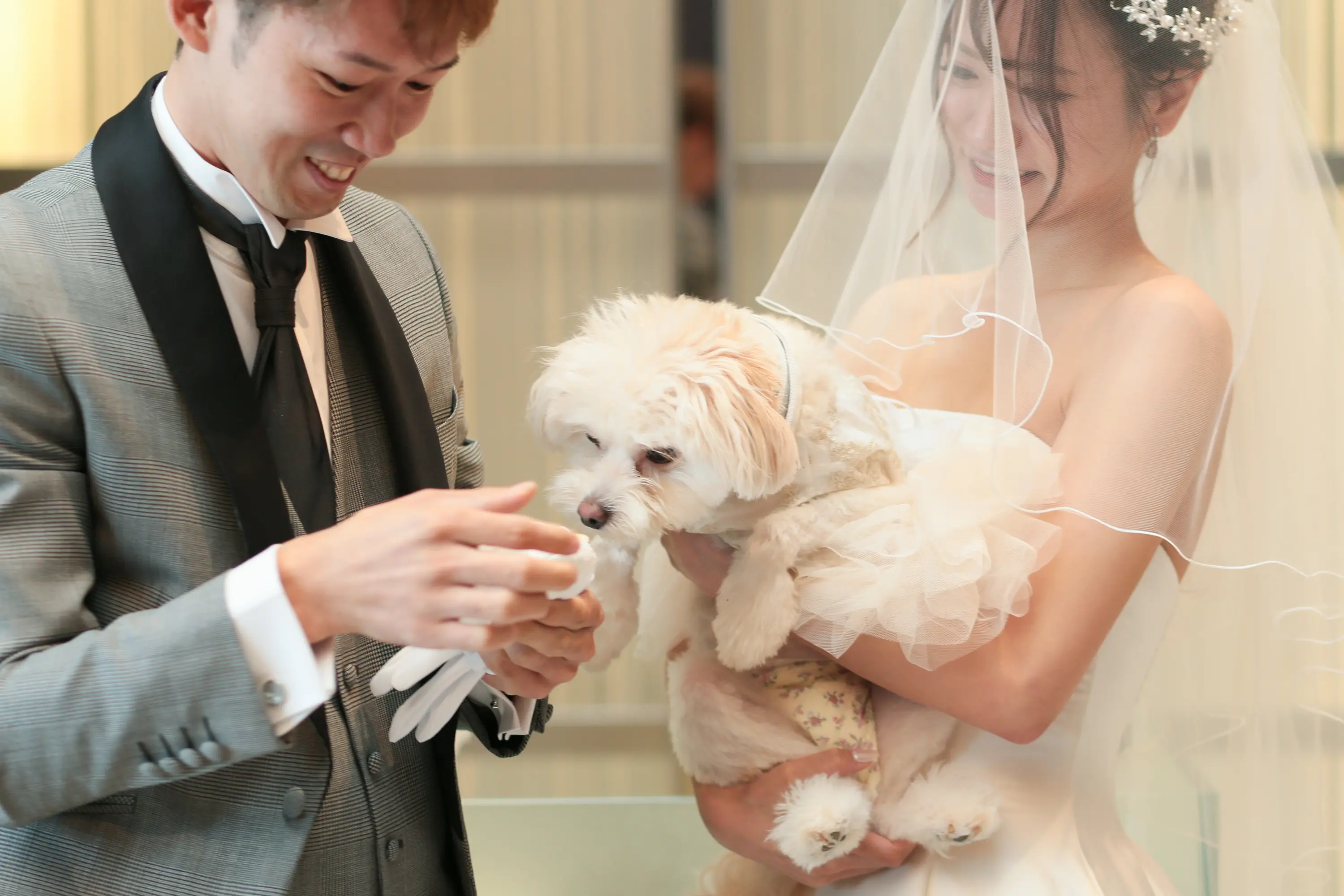 【豊橋駅前で叶う×ガーデン×貸切】愛犬も一緒のペットウエディングパーティレポート