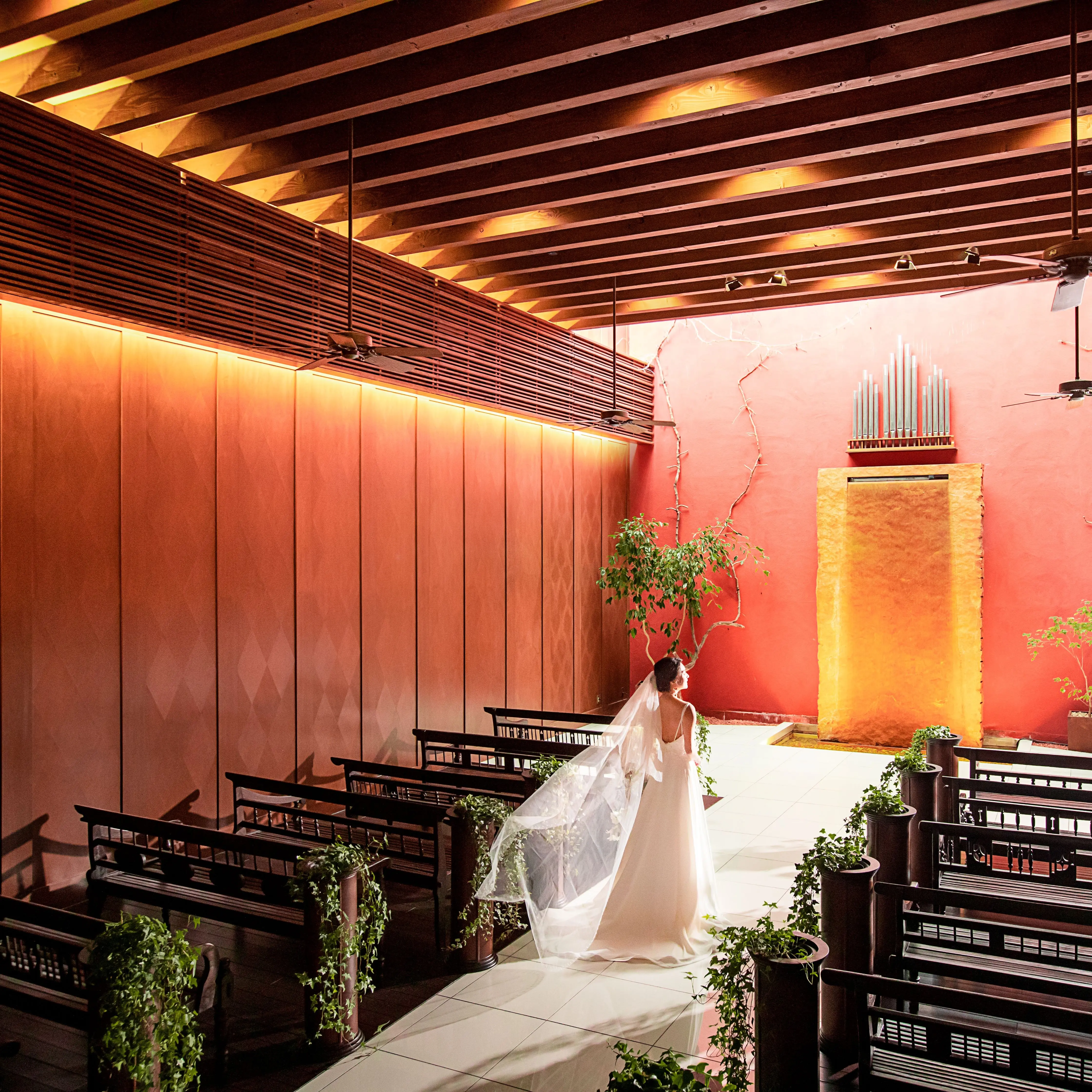 【ホテルブエナビスタ】2026年5月まで限定で挙式が29万で叶う！特別コースで、食事付が嬉しい！