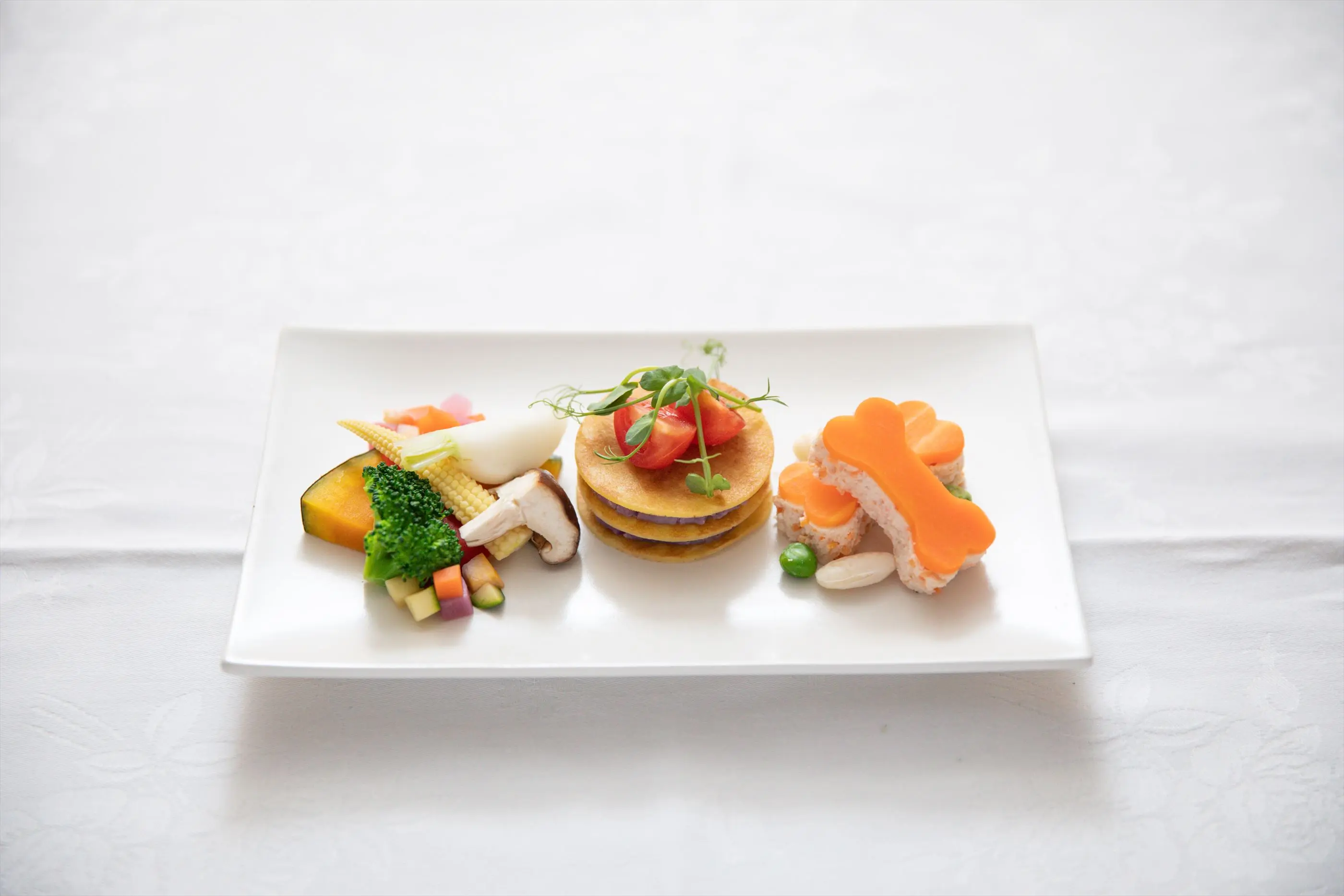 【大好評のペット婚】挙式から披露宴まで室内で一緒に過ごせる！ワンちゃん衣裳やご飯もご用意可能！