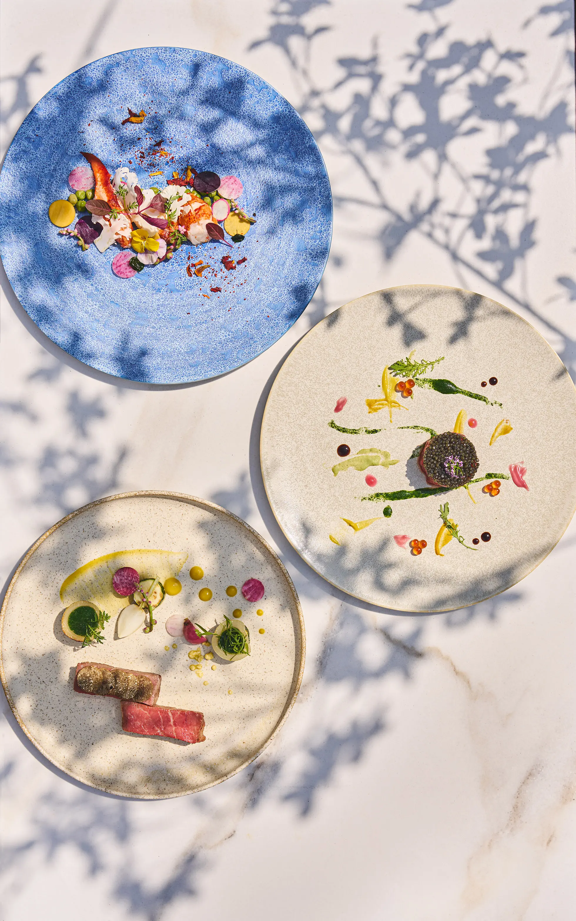 緑に囲まれた開放感ある当日をイメージしながらお料理試食ができる体験フェア！