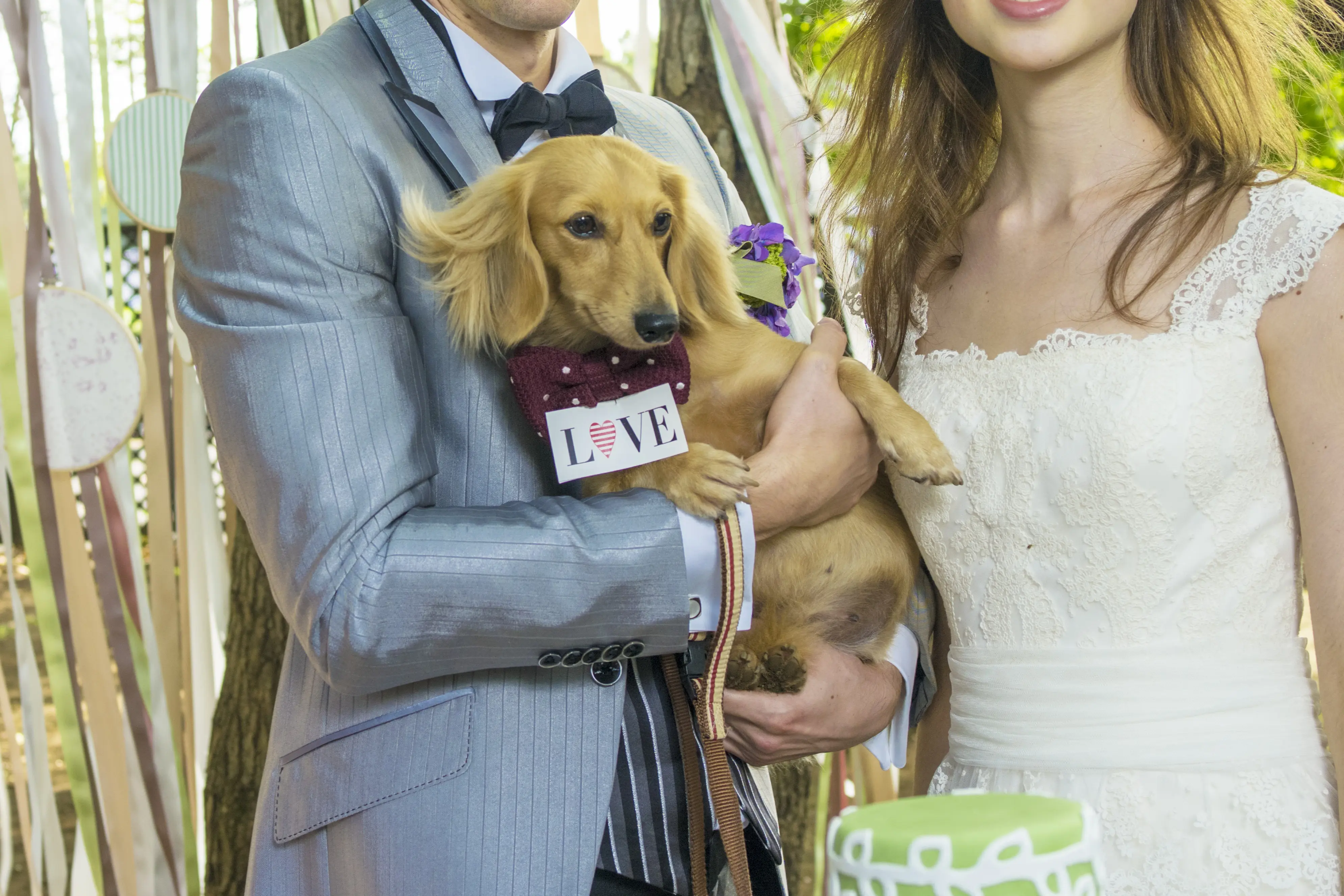 大切なペットは大切な家族！愛犬・愛猫と人生で一度の大切な日を過ごして【通常価格より★45％OFF】