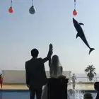 THE LUIGANS SPA&RESORT