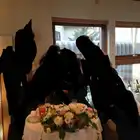 ジャルダン・ポタジエ・テラニシ