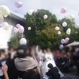バルキーニョ