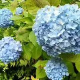 グランドプリンスホテル京都