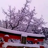 箱根神社