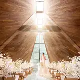 アーフェリーク白金