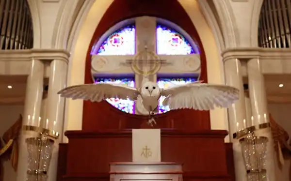 札幌 苫小牧 道央で人気の結婚式 結婚式場 みんなのウェディング