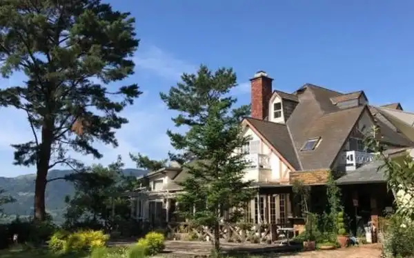 阿蘇郡南阿蘇村でペットが同伴可能な結婚式場 みんなのウェディング