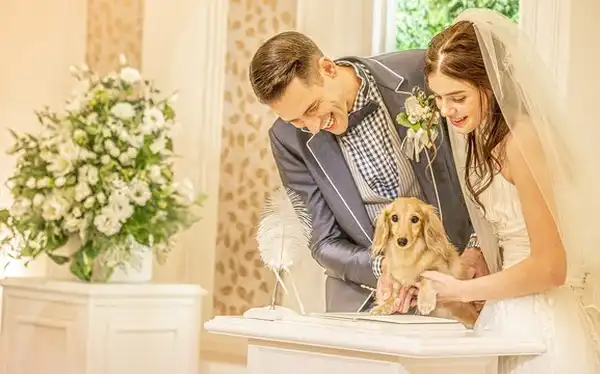 京都でペットが同伴可能な結婚式場 みんなのウェディング
