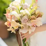 【少人数婚】至福の一皿で上質なプライベート婚47万1000円
