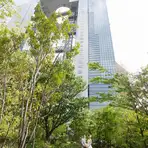 【お急ぎ婚・おめでた婚プラン】マタニティドレスご用意あり