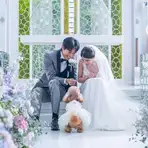 4カ月以内・月2組限定◆パパママ＆マタニティ婚80名232万