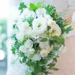 お急ぎ婚の方にも 直近4か月以内プラン 40名141万