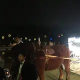 馬車