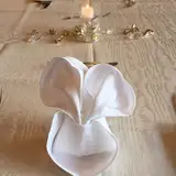 ミッキー折りナプキン