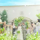 春婚【26年3～5月ご検討の方】60名208万