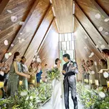 【最大120万円特典】人気プラン★26年7月～26年8月