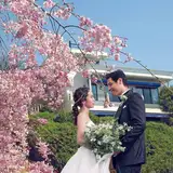 【最大80万円特典】特別価格プラン★26年7月まで