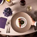 【2026年3月～6月 30名～100名】Elysian Plan