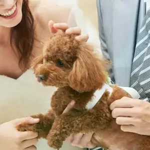 ペットwedding＊挙式＆パーティープラン(50名155万）