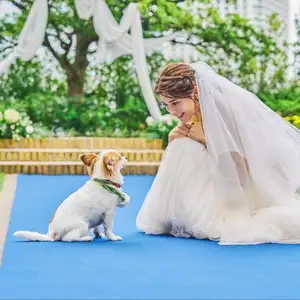 ＜ペット婚プラン＞大切な愛犬と一緒に