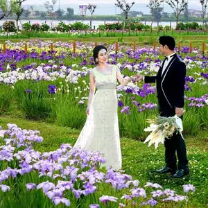  【通年】あやめパーク 挙式＋会食プラン