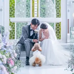 4カ月以内・月2組限定◆パパママ＆マタニティ婚80名232万