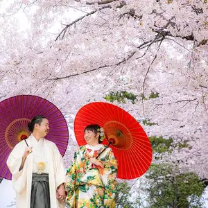 桜ロケーションフォトプラン