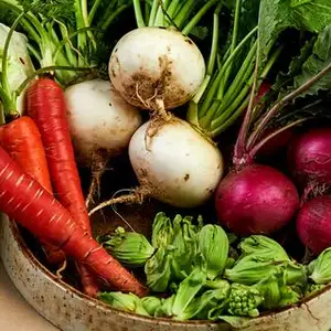 【20名様　挙式×食事会】フレンチ