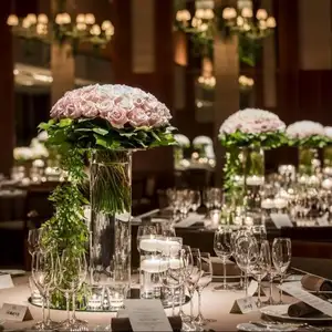 【リオープン記念】2026年3～5月限定プラン 90名