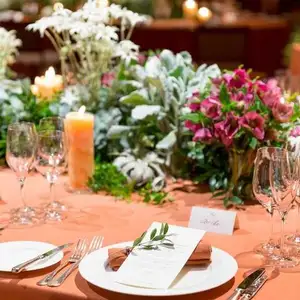 【リオープン記念】2026年3～5月限定プラン 50名