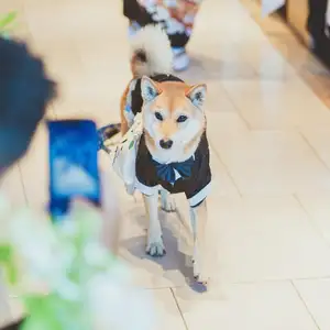 リングドッグもOK♪ペット婚プラン