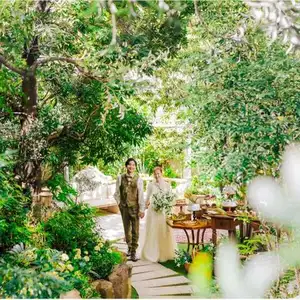 〈2026年秋プラン〉70名334万円⇒248万円！