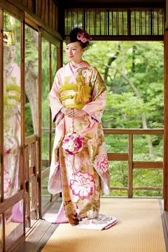 淡ピンク　牡丹に菊